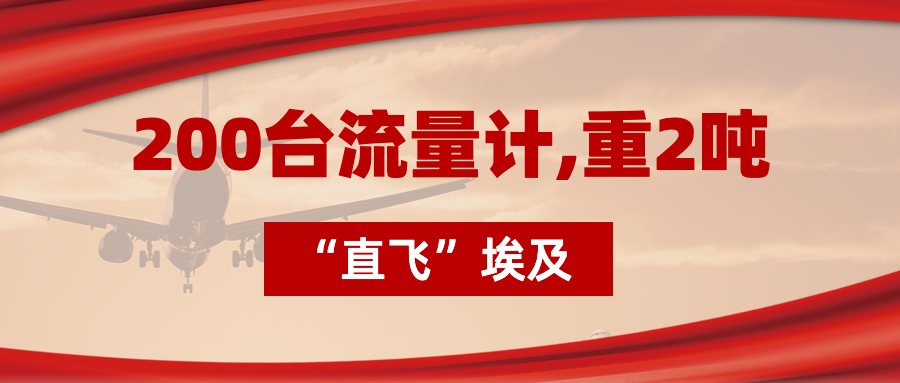 200臺(tái)流量計(jì)“直飛”埃及，重2噸，運(yùn)費(fèi)10萬(wàn)